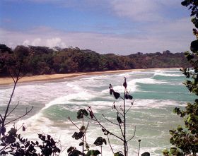 Surf in Bastimentos, Panama – Best Places In The World To Retire – International Living